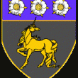 Wappen der Grafschaft Stollhill